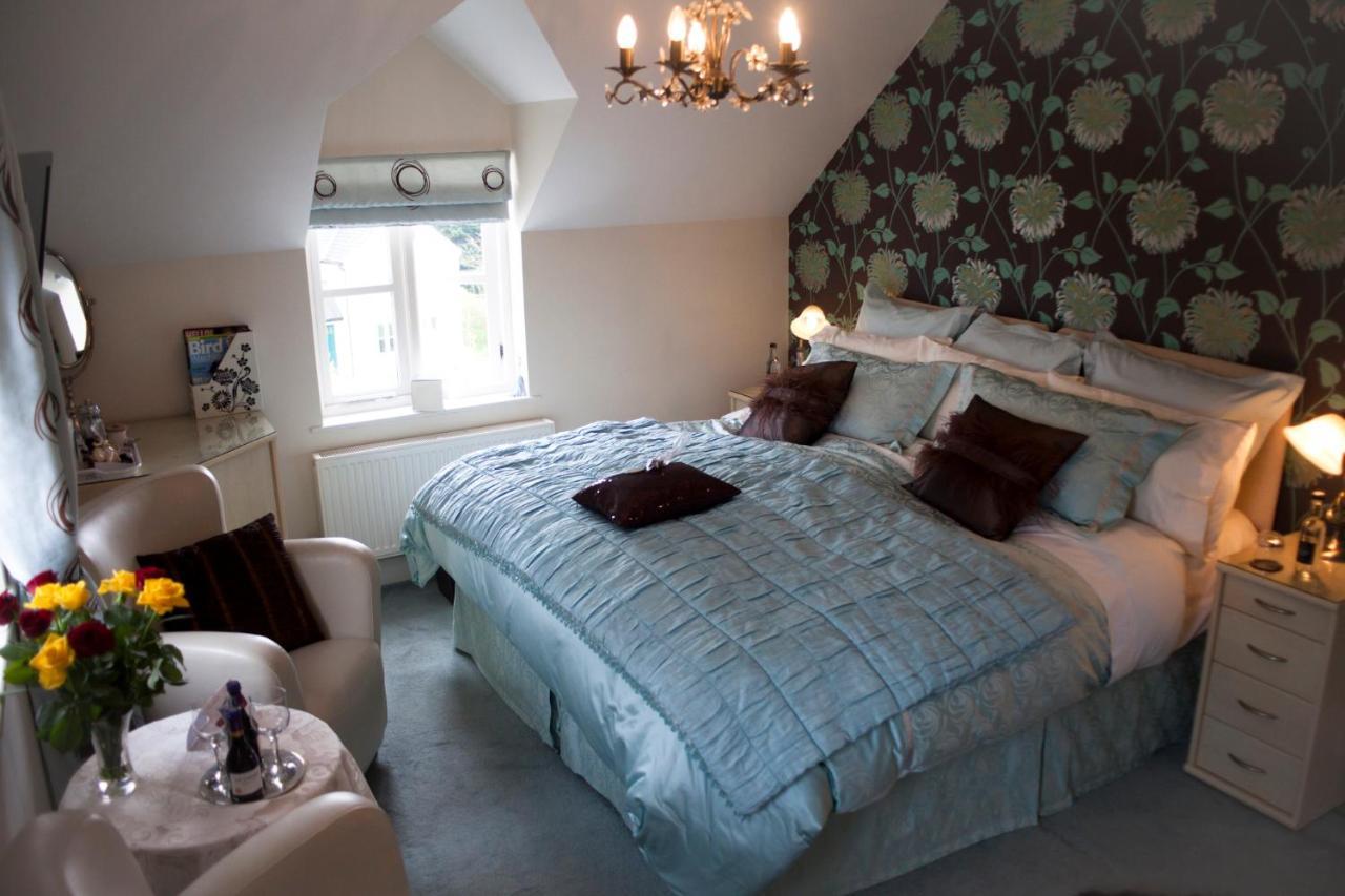Y Garth Luxury Bed And Breakfast Dinas  Buitenkant foto